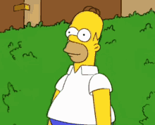 simpson hide himself in shrubs meme